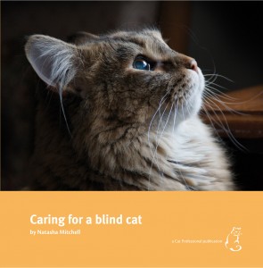 blind-cat_cover blind-cat_cover