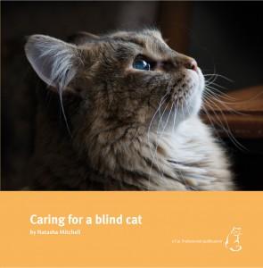 blind cat book cover